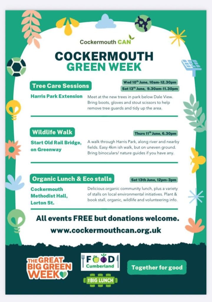 green week poster